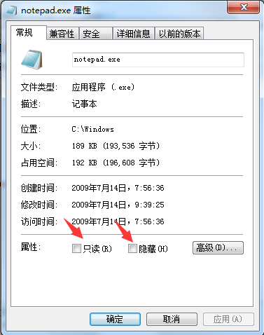 notepad.exe文件的位置在哪