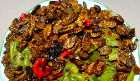 炒茧蛹制作方法，炒好的茧蛹外皮微脆，内里绵软